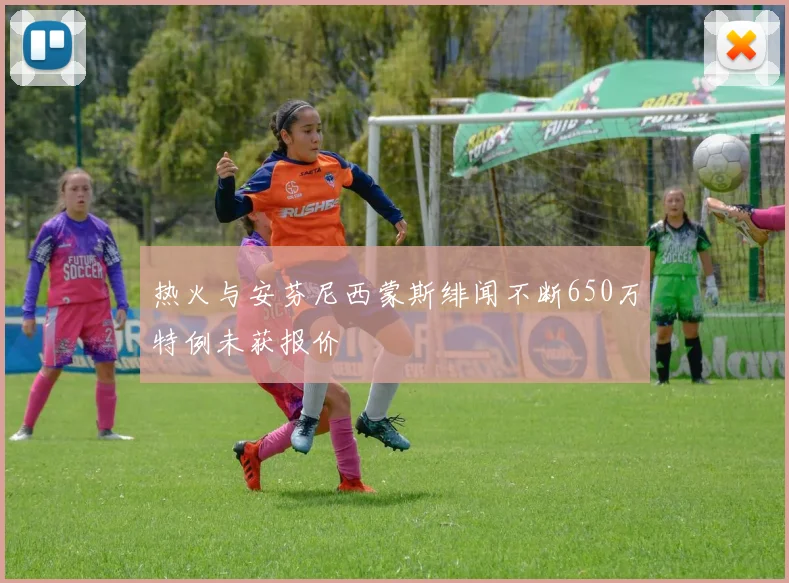 热火与安芬尼西蒙斯绯闻不断650万特例未获报价